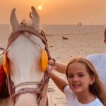 Two days admirable tour of Varanasi - What Travelers Say: Authentic Insights