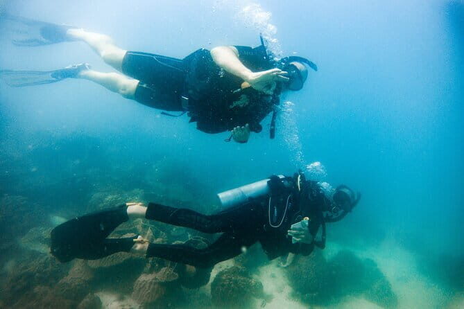 Two Fun Dives for Certified Divers in Koh Kood or Koh Rang - The Itinerary and Dive Sites: What You’ll Experience