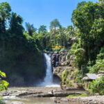Ubud All-Inclusive Tour with Swing and Lunch - What We Love About This Tour