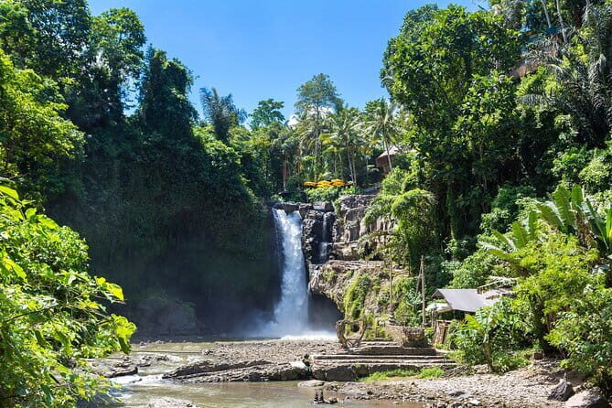 Ubud All-Inclusive Tour with Swing and Lunch - What We Love About This Tour
