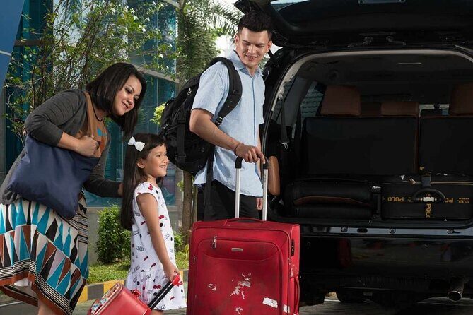 Ubud Bali Private Airport Transfers  Seamless & Stress-Free - Who Is This Transfer Best For?