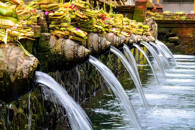 Ubud Bali: Rice Terrace, Waterfall and Tirta empul Day Tour - Who Should Consider This Tour?