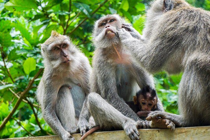 Ubud Best Tour - Final Thoughts