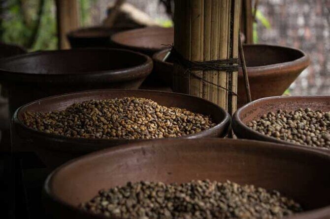 Ubud Costumize Tours - Who Will Love This Tour?