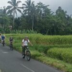 Ubud Cultural and Educational Downhill Cycling Tour - Why We Think It’s a Great Choice