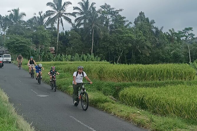 Ubud Cultural and Educational Downhill Cycling Tour - Why We Think It’s a Great Choice