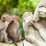 Ubud Cultural Tour - Key Points
