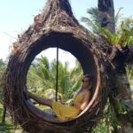 Ubud day trip - How the Tour Runs