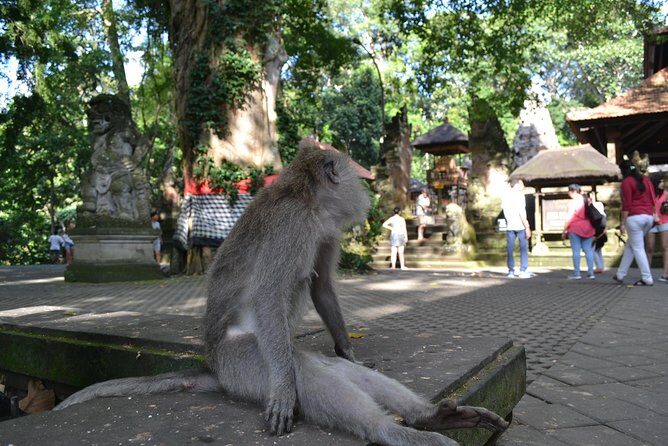 Ubud Full Day Tour - Costumeize Your Own Trip - Who Is This Tour Best Suited For?
