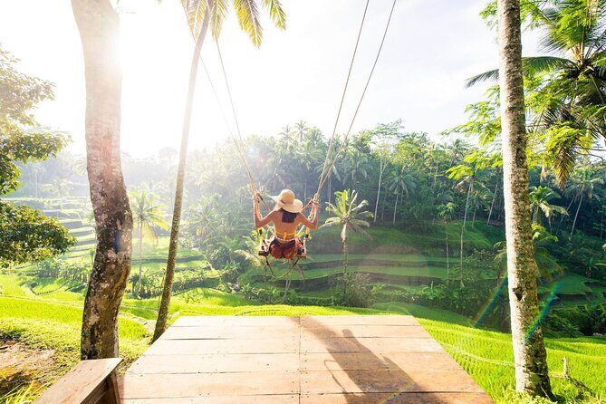Ubud Full Day Tour Waterfall Monkey Forest Rice Terrace - The Practical Side: Transport, Cost, and Tips