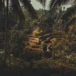 Ubud Guided Tour & Iconic Tanah Lot Temple - Whats Included and Whats Not