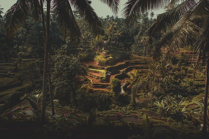 Ubud Guided Tour & Iconic Tanah Lot Temple - Whats Included and Whats Not
