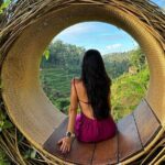 Ubud Guided Tour Monkey Forest, Waterfall, Temple & Rice Terrace. - Practical Details and Tips
