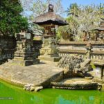 Ubud Highlight Tour - Discover Ubud’s Best Spots in One Day