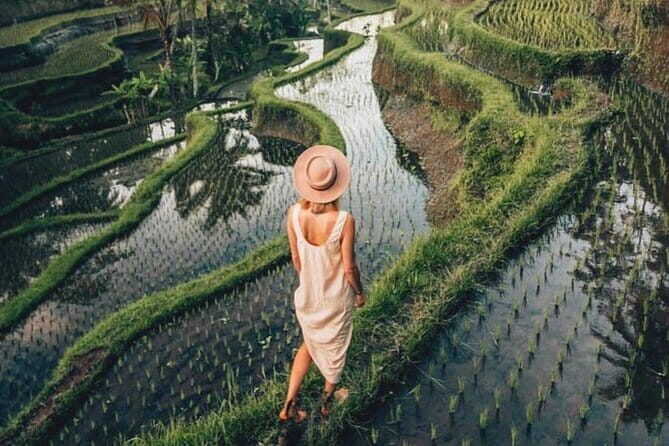 Ubud Highlights Full-Day Tour - Small Group - What Sets This Tour Apart