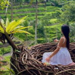 Ubud Highlights -Private Tour,Temples, Waterfalls & Rice terraces - Exploring Ubud in Depth