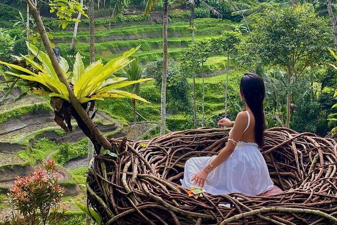Ubud Highlights -Private Tour,Temples, Waterfalls & Rice terraces - Exploring Ubud in Depth