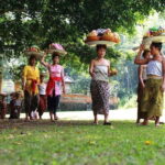 Ubud Highlights Tour ( Private All-Inclusive ) - How the Tour Fits Value and Practicality