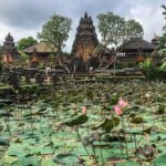 Ubud Instagram Spots Tour - One Day Private Trip - Detailed Breakdown of the Itinerary