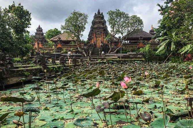 Ubud Instagram Spots Tour - One Day Private Trip - Detailed Breakdown of the Itinerary