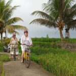 Ubud : Kintamani Downhill Cycling Tour with Lunch - Practical Details: What To Expect