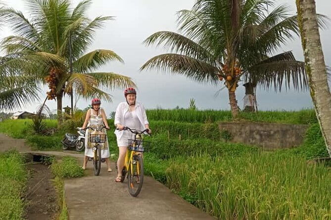 Ubud : Kintamani Downhill Cycling Tour with Lunch - Practical Details: What To Expect
