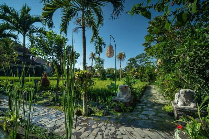 Ubud Luxury Bali Spa Package with amidst rice fields - Price & Value: Is It Worth It?