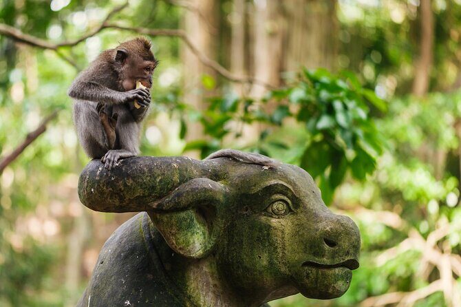 Ubud: Monkey Forest, Waterfall and Nature Exploration Tour - Ubud Palace & Art Market – Diving into Culture