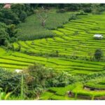 Ubud Natural Scenery with Swing - FAQ