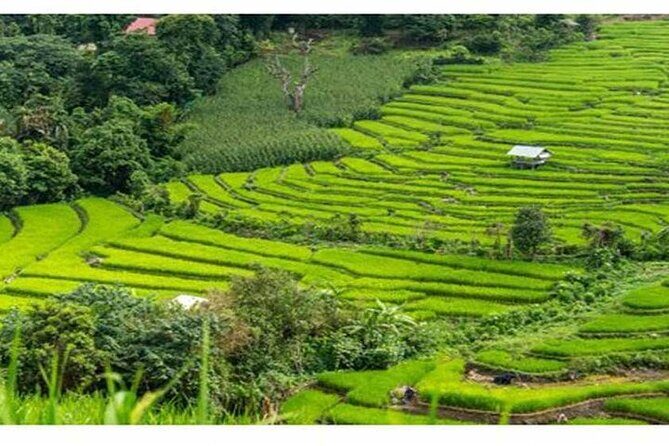 Ubud Natural Scenery with Swing - FAQ