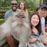 Ubud Private Tour - FAQ: Practical Questions About the Ubud Private Tour