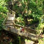 Ubud Private Tour - Best Of Ubud - All Inclusive - Practical Details and What to Expect