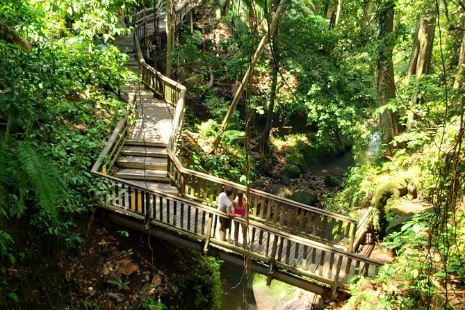 Ubud Private Tour - Best Of Ubud - All Inclusive - Practical Details and What to Expect