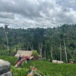 Ubud Private Tour From Cruise Port Benoa Bali All Inclusive - The Sum Up