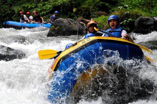 Ubud Rafting With Cliff CARVING and Free Pick Up - Why You Should Consider This Tour