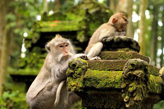 Ubud Sacred Monkey Forest & Art Village Tour - Who Is This Tour Best Suited For?