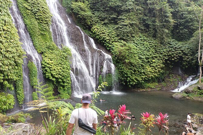 Ubud-Sanur to Menjangan area - What We Loved About This Tour