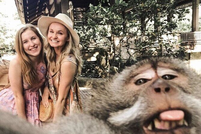 Ubud Skip the line Monkey Forest Sanctuary Ticket and Guided Tour - The Guided Experience and Its Value