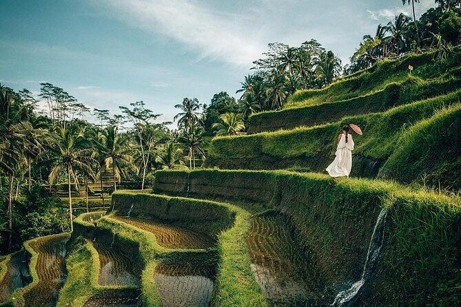 Ubud: Swing - Monkey Forest - Waterfall - Temple - Rice Terraces - Art Crafts - Logistics & Value: What You Need to Know