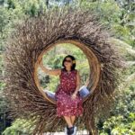 Ubud Tour - Best Of Ubud With Jungle swing - All Inclusive - Authentic Experiences & Practical Insights