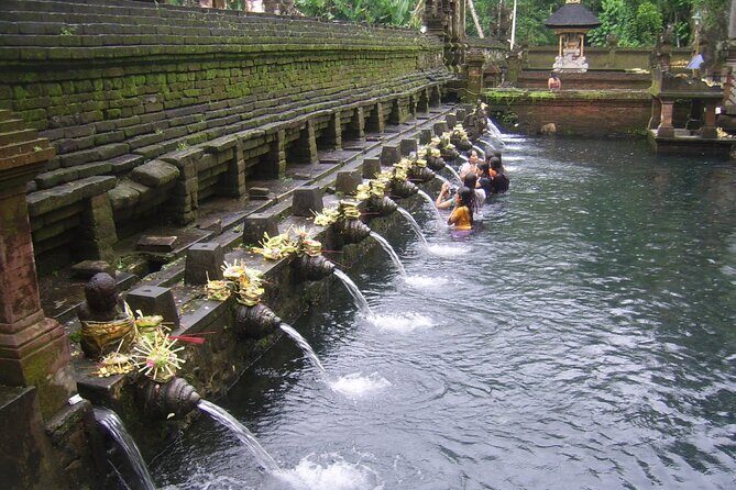 Ubud Tour : Monkey forest, Rice terrace, Water temple, Waterfall & Jungle Swing - Who Should Book This Tour?