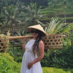 Ubud Tour: Monkey forest, rice terraces, temple, waterfall - What’s Included and What’s Not