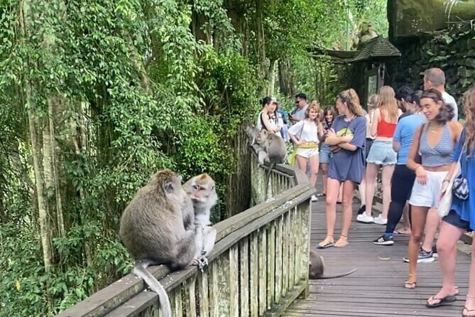 Ubud Tour - Ubud Highlight Culture, Tradition, Nature - How Does the Tour Feel in Practice?