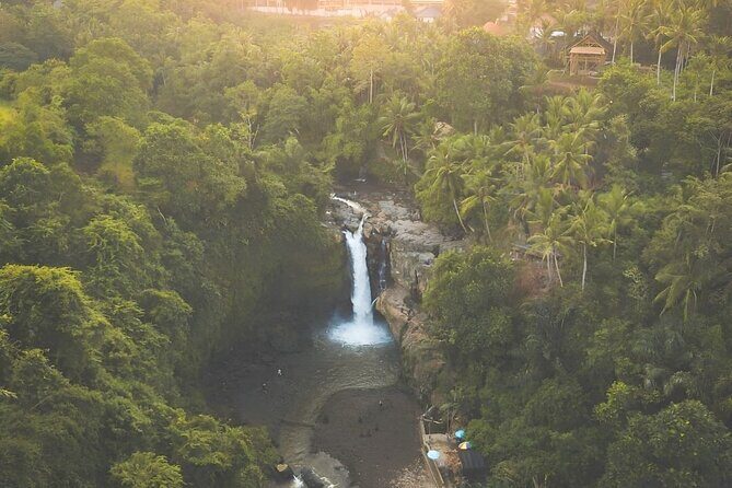 Ubud Tour with Jungle Swing and Waterfall Water Temple - Authentic Experiences and Practical Tips