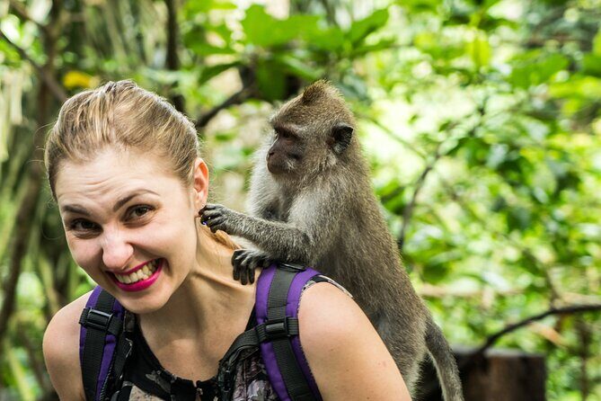 Ubud Tour with Swing, Temple, Monkey Forest, and Waterfall - A Deep Dive into the Ubud Tour Experience