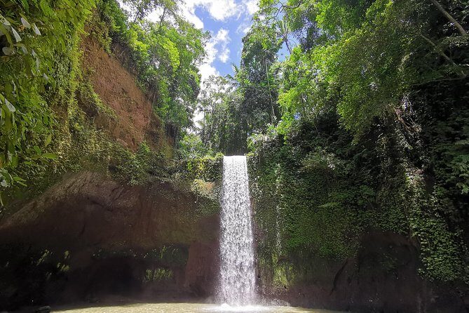 Ubud Village, Tegalalang Rice Terrace Swing, Tirta Empul Temple and Waterfafall - Authentic Insights from Travelers