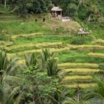 Ubud Village, with Rice Terrace And Waterfall Visit - Frequently Asked Questions