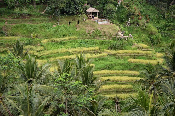 Ubud Village, with Rice Terrace And Waterfall Visit - Frequently Asked Questions