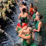 Ubud Waterfall and Kintamani Volcano Tour - Who Will Love This Tour?