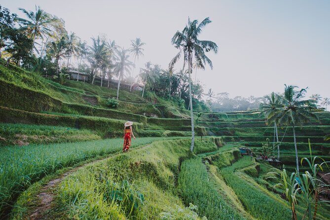 Ubud: Waterfall, Rice Terraces, and Monkey Forest Private Tour - Final Thoughts: Is it Worth It?